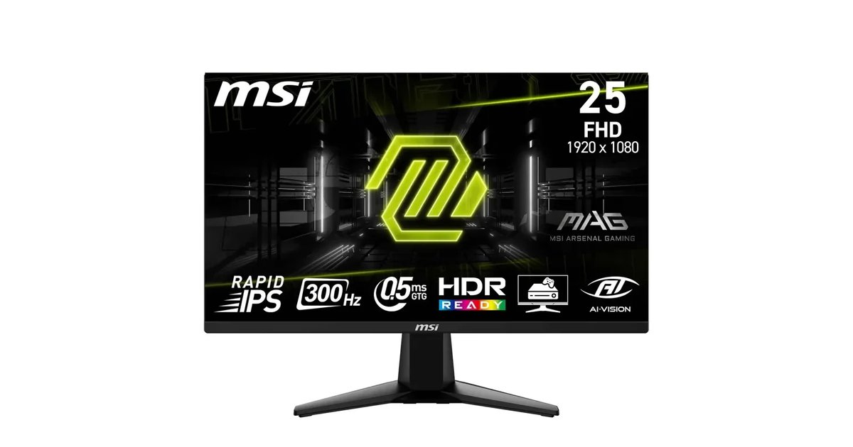 Monitor Gaming MSI mag 255XF FHD 24,5" IPS 300 Hz